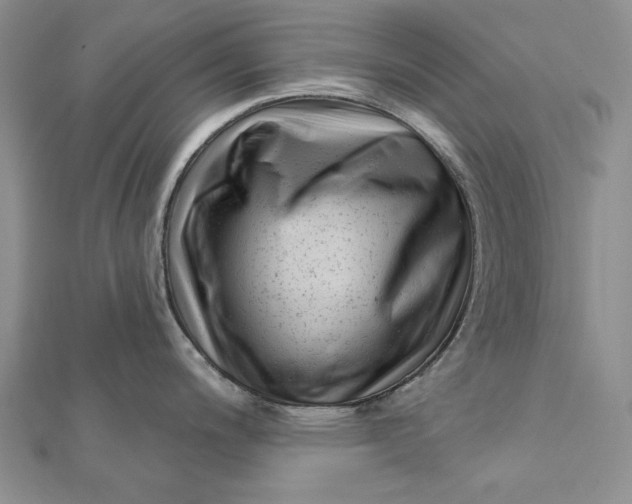 X0000112061200200908251013