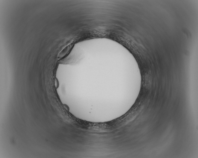 X0000112061201200908251013