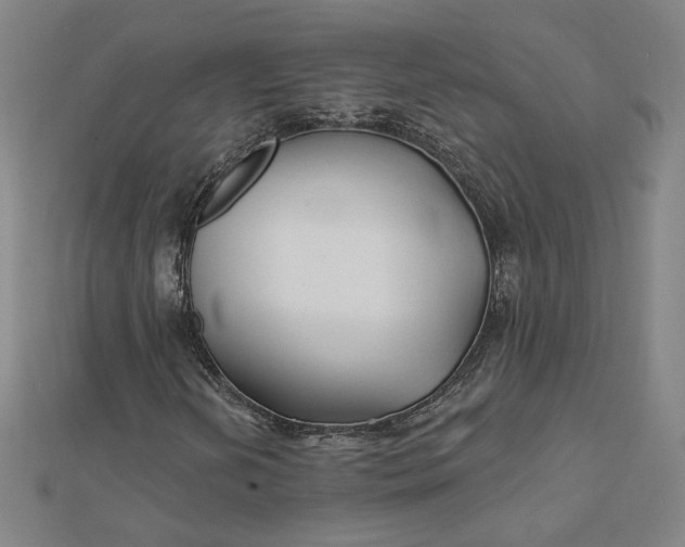 X0000112061202200908251013