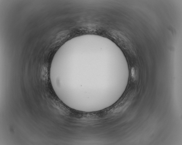 X0000112061203200908251013