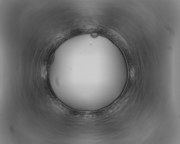 X0000112061204200908251013