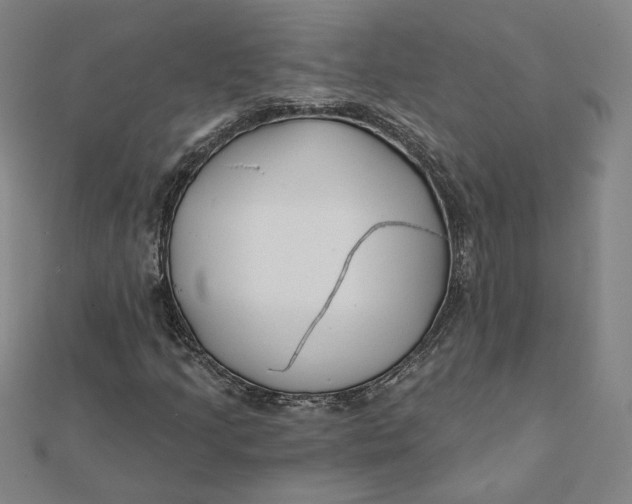 X0000112061205200908251013