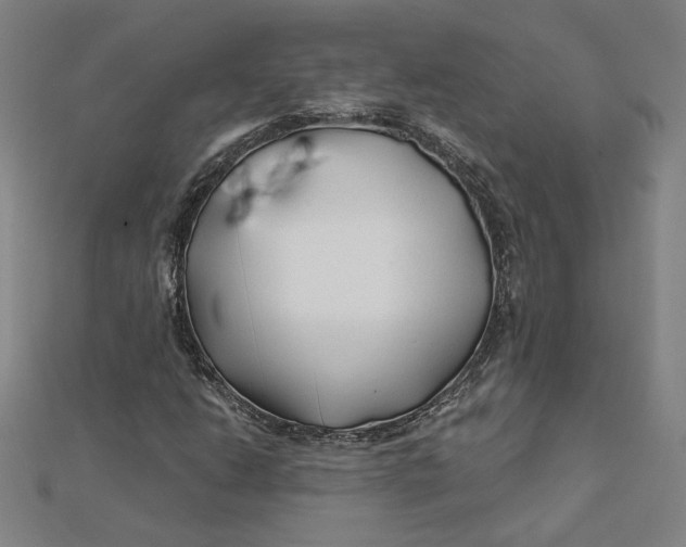 X0000112061206200908251013