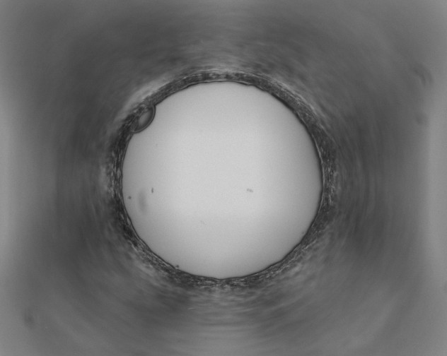 X0000112061207200908251013