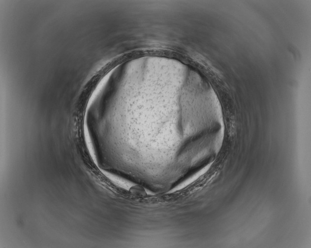 X0000112061208200908251013