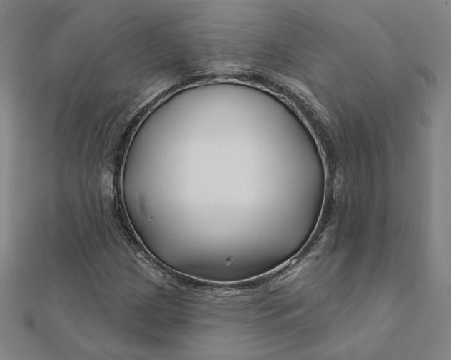 X0000112061209200908251013