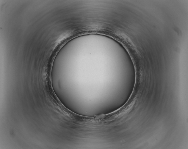 X0000112061210200908251013