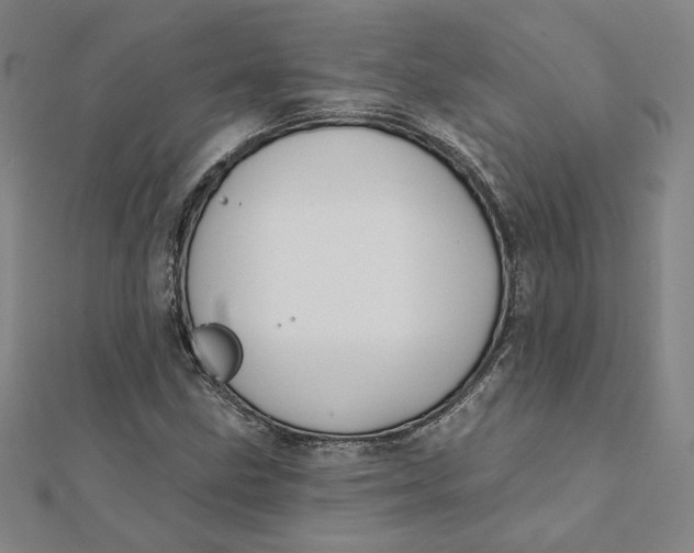 X0000112061211200908251013