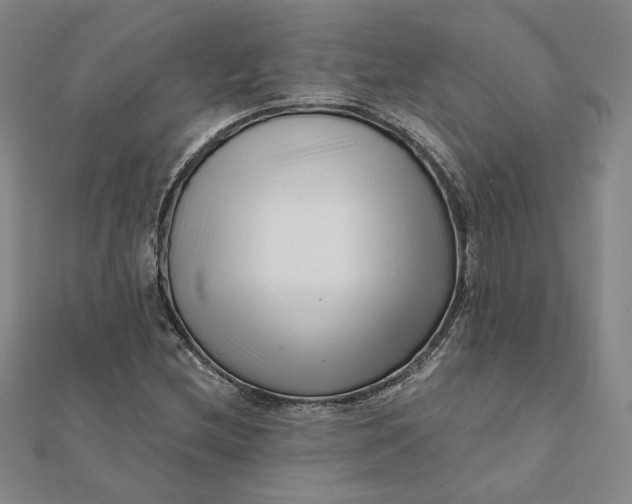 X0000112061212200908251013