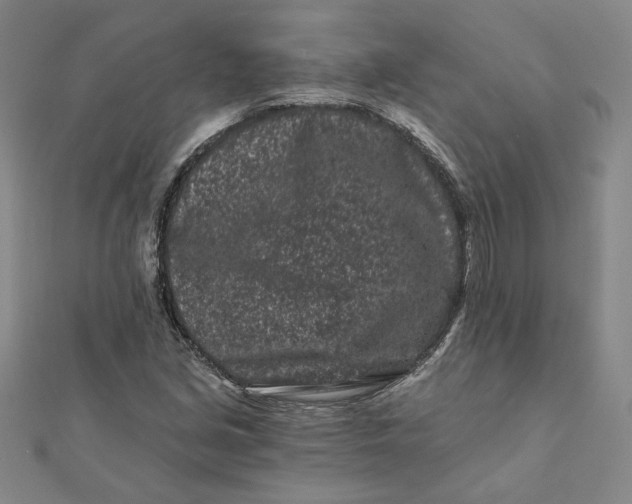 X0000112061213200908251013