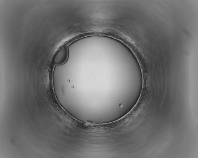 X0000112061214200908251013