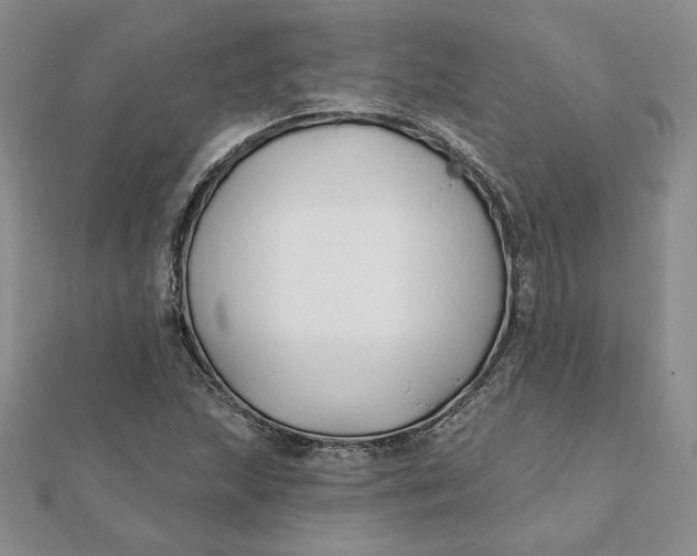 X0000112061215200908251013