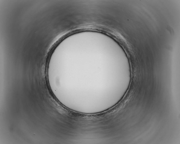 X0000112061216200908251013