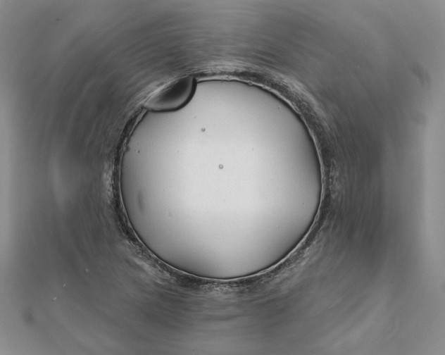 X0000112061217200908251013