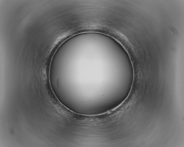 X0000112061218200908251013