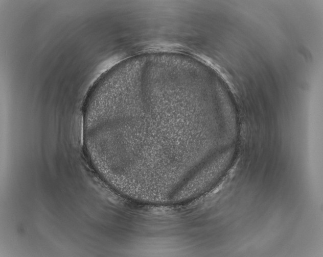 X0000112061219200908251013