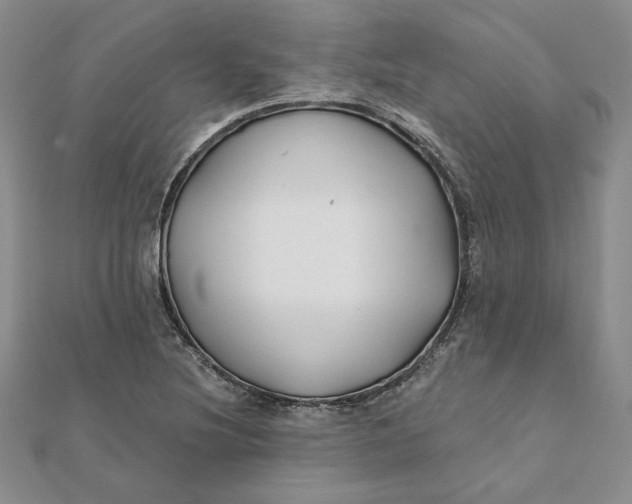 X0000112061220200908251013