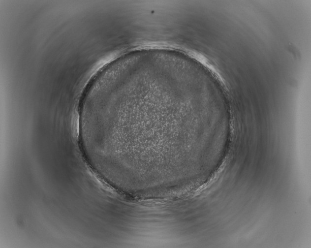 X0000112061221200908251013