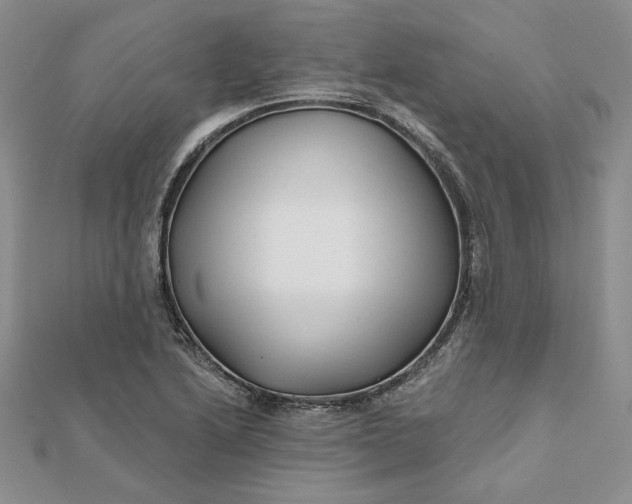 X0000112061222200908251013