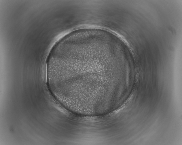 X0000112061223200908251013