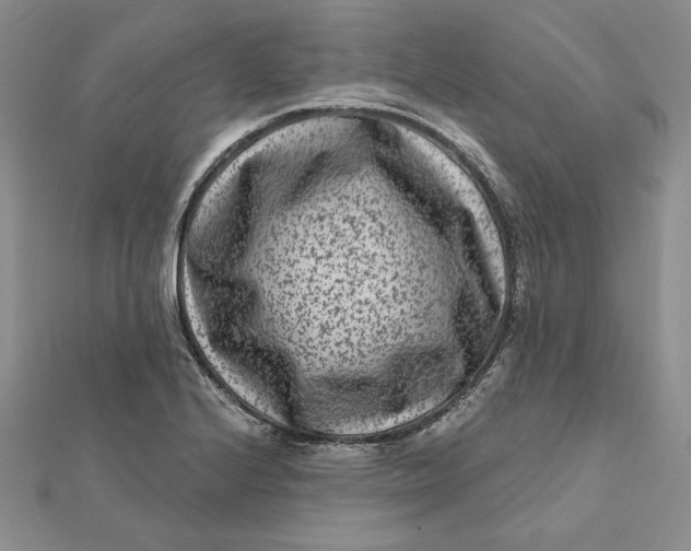 X0000112061224200908251013