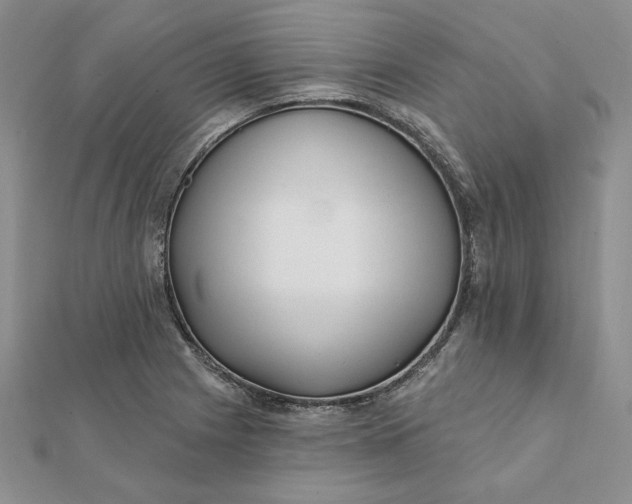 X0000112061225200908251013