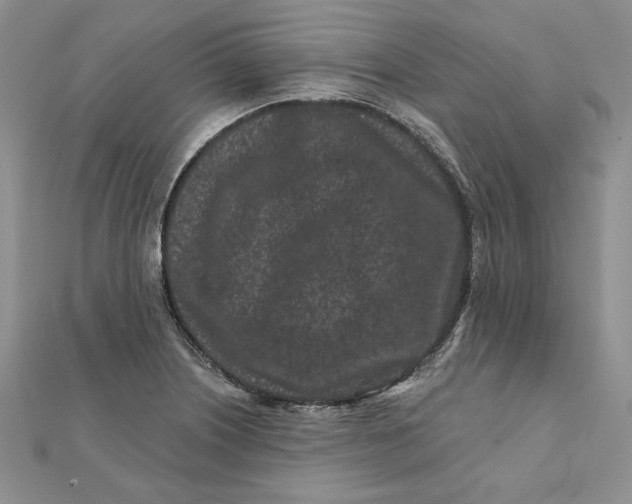 X0000112061226200908251013