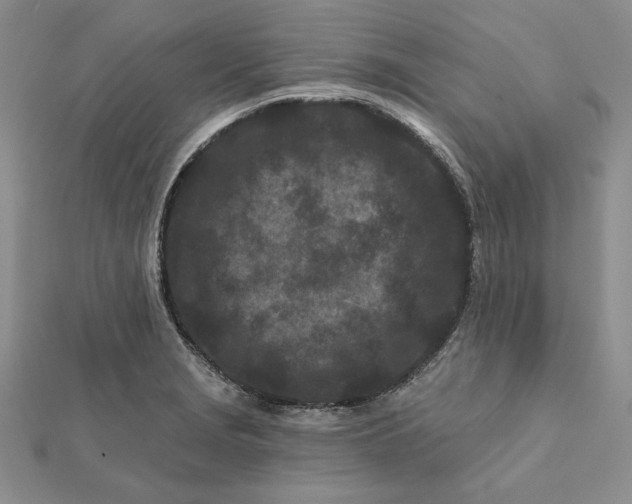 X0000112061229200908251013