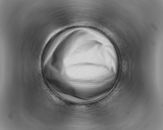 X0000112061230200908251013