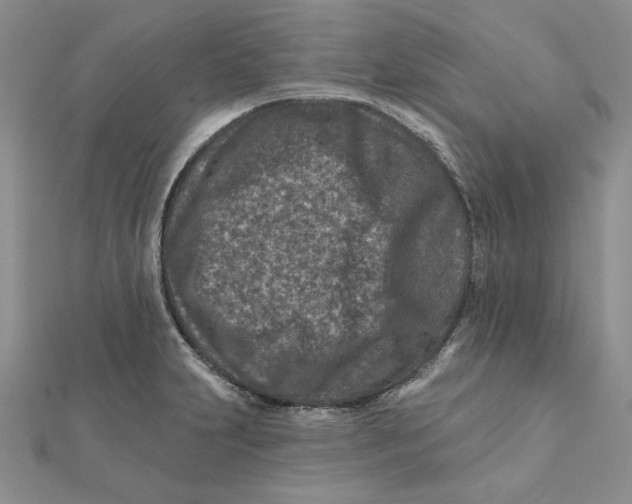 X0000112061231200908251013