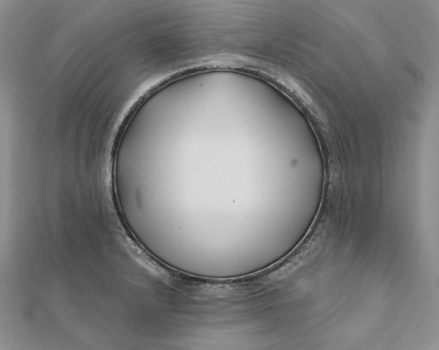 X0000112061232200908251013