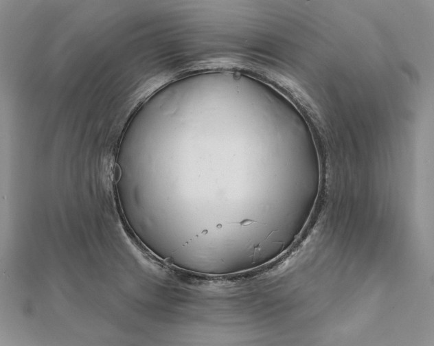 X0000112061233200908251013