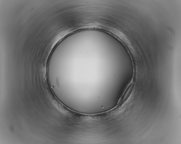 X0000112061234200908251013