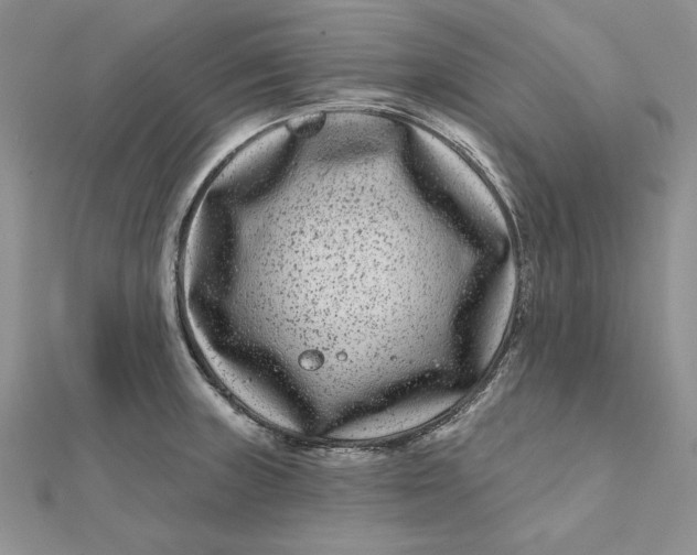 X0000112061235200908251013