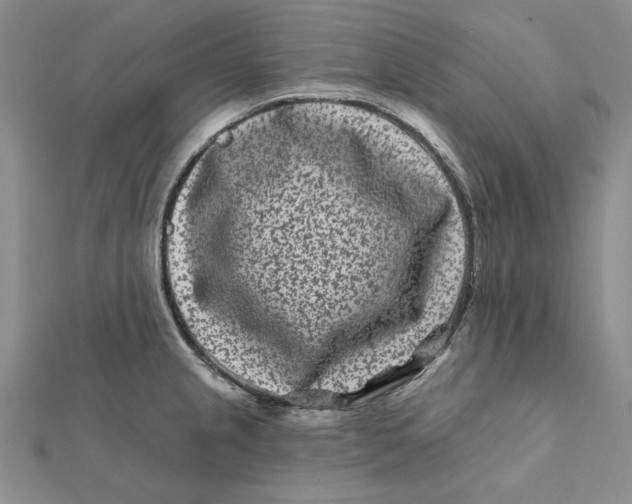 X0000112061237200908251013