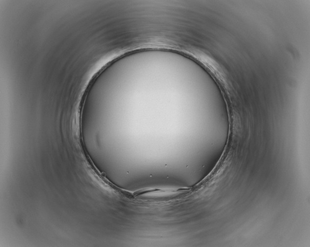 X0000112061238200908251013