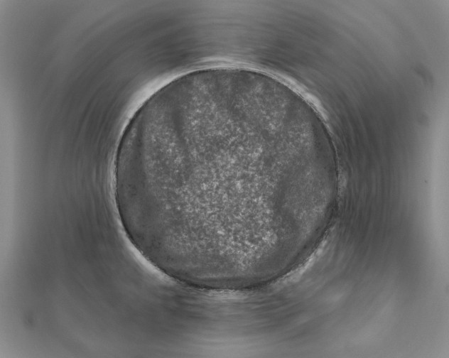 X0000112061239200908251013