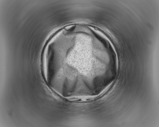 X0000112061240200908251013