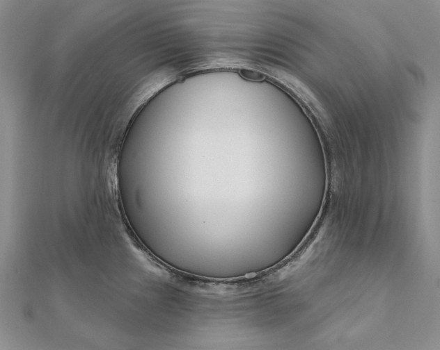 X0000112061241200908251013