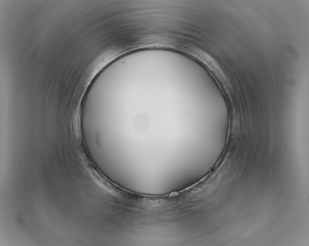 X0000112061242200908251013