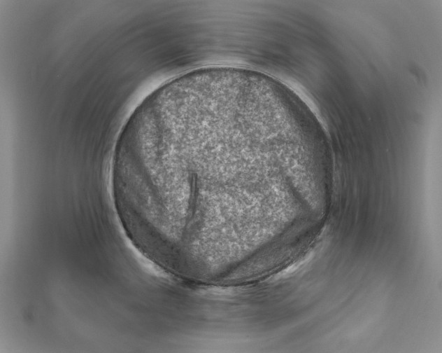 X0000112061245200908251013