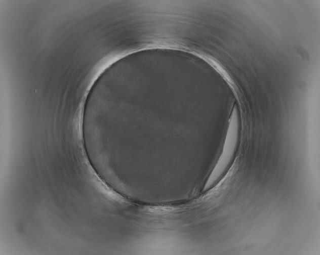 X0000112061246200908251013