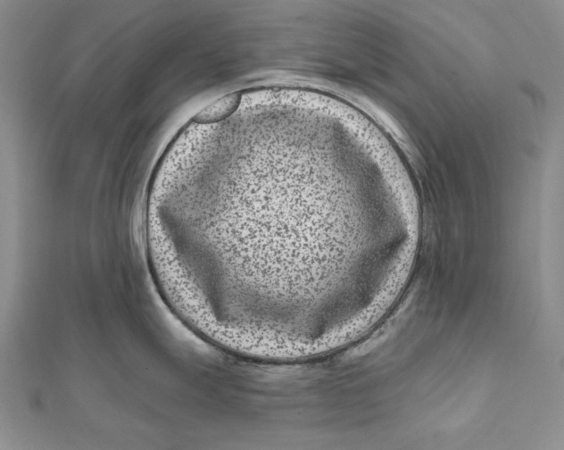 X0000112061247200908251013