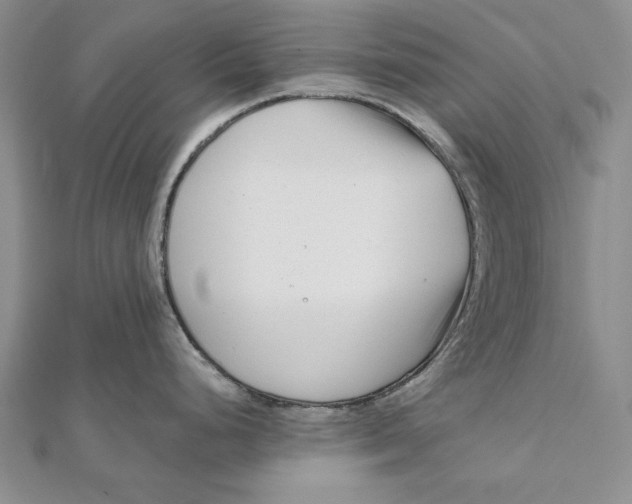 X0000112061248200908251013