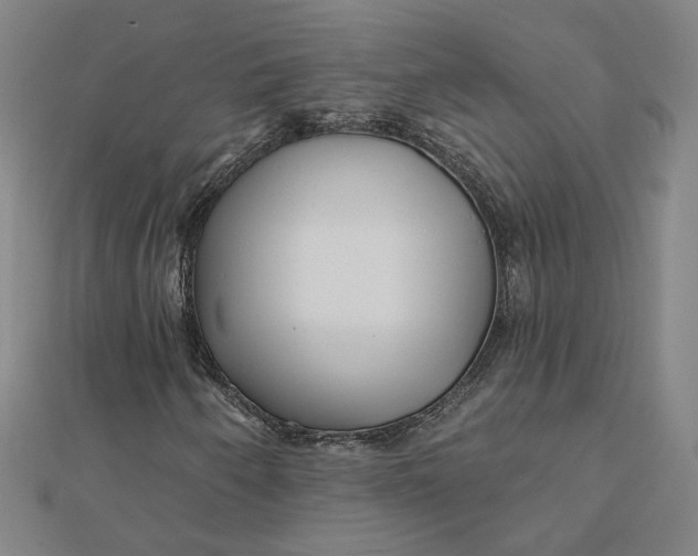 X0000112061250200908251013