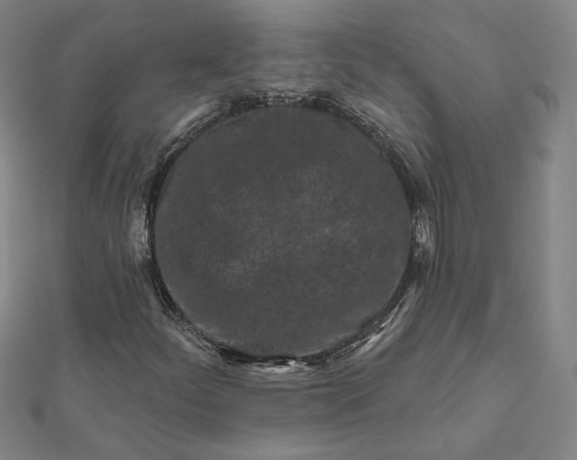 X0000112061252200908251013