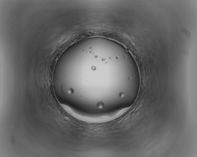 X0000112061253200908251013