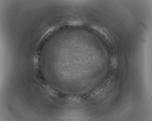 X0000112061254200908251013