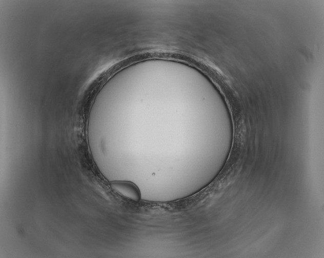 X0000112061255200908251013