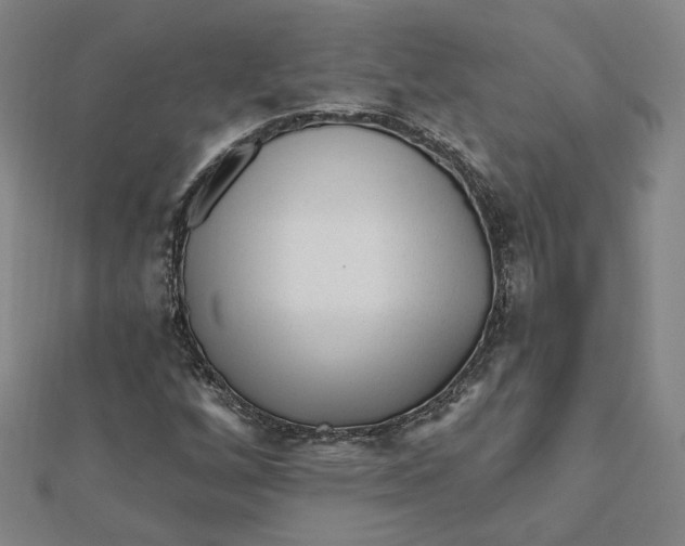 X0000112061256200908251013